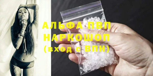 соль ск Сясьстрой