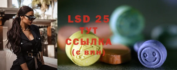 mdpv Тайга