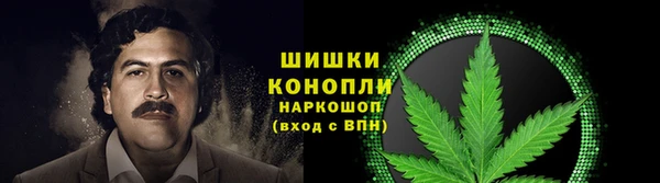 соль ск Сясьстрой