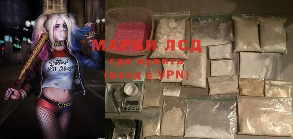 mdpv Тайга
